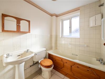 Picture 8